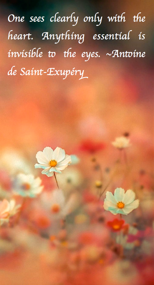 Screen Shot 2018-06-03 at 10.55.26 PM.png