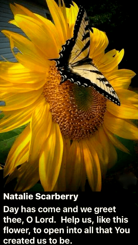 Screen Shot 2018-06-05 at 10.05.16 PM.png