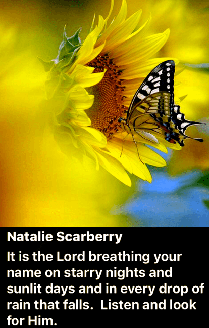 Screen Shot 2018-06-05 at 10.06.34 PM.png