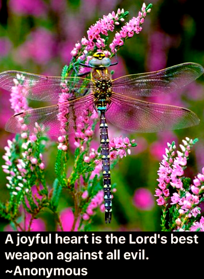 Screen Shot 2018-06-05 at 10.07.54 PM.png