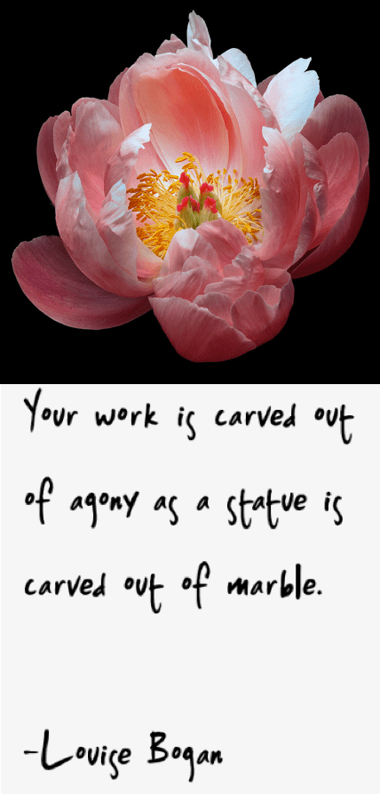 Screen Shot 2018-06-05 at 10.12.13 PM.png