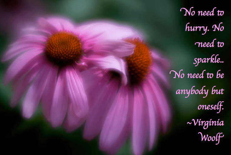 Screen Shot 2018-06-05 at 10.16.28 PM.png