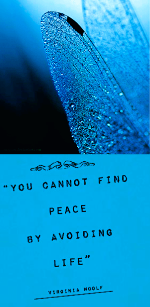 Screen Shot 2018-06-05 at 10.24.40 PM.png