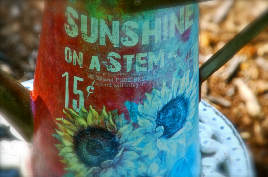 Screen Shot 2018-06-06 at 10.28.30 PM.png