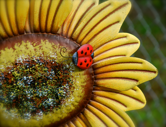 Screen Shot 2018-06-06 at 10.31.10 PM.png