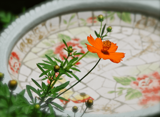 Screen Shot 2018-06-06 at 10.32.31 PM.png