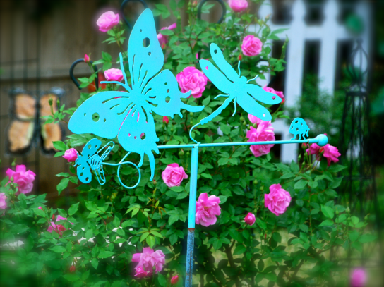 Screen Shot 2018-06-06 at 10.35.35 PM.png