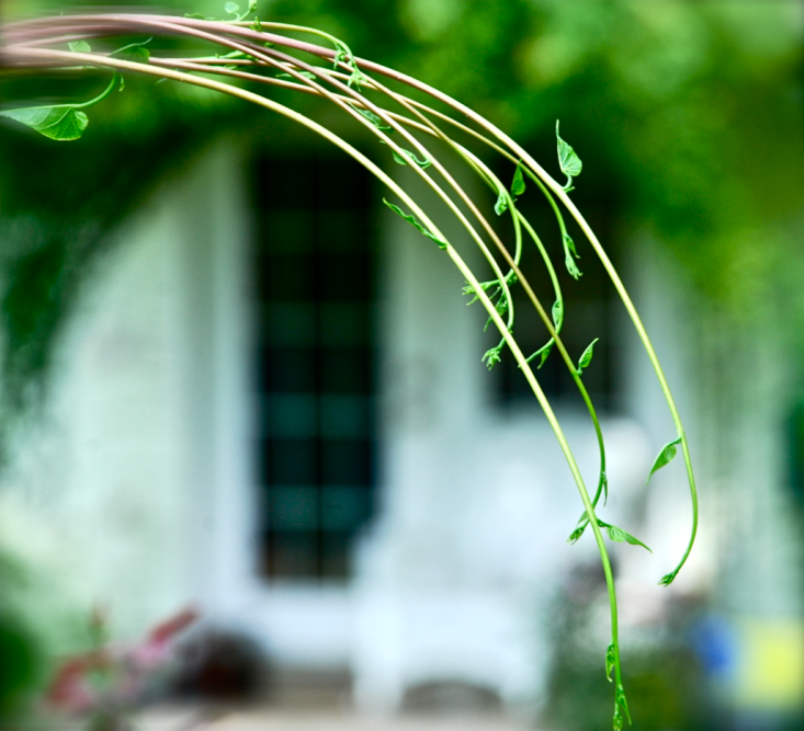 Screen Shot 2018-06-06 at 10.36.41 PM.png