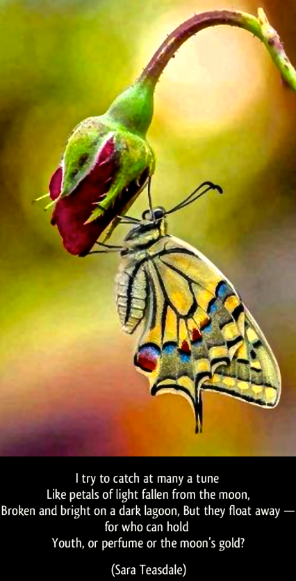 Screen Shot 2018-06-08 at 10.54.41 PM.png