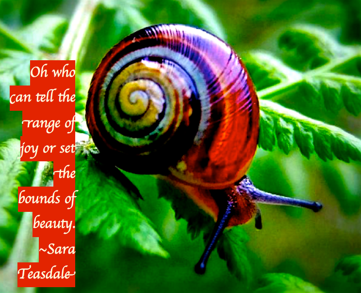 Screen Shot 2018-06-08 at 11.04.15 PM.png