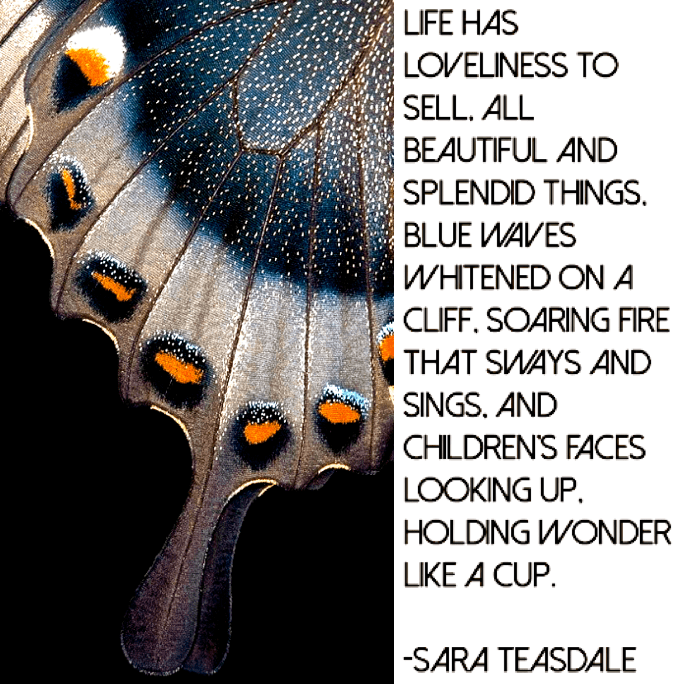 Screen Shot 2018-06-08 at 11.06.32 PM.png