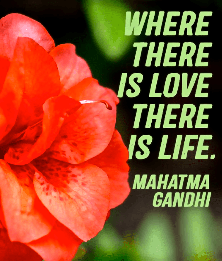 Screen Shot 2018-06-08 at 11.09.42 PM.png