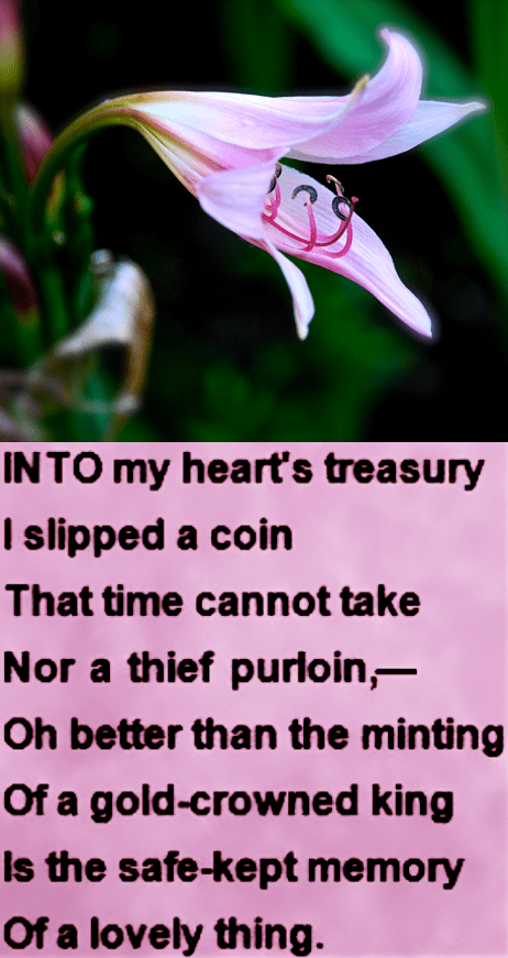 Screen Shot 2018-06-08 at 11.16.39 PM.png