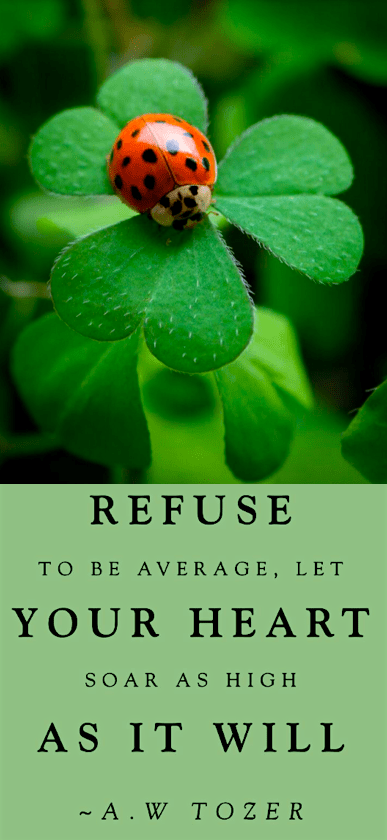 Screen Shot 2018-06-09 at 10.04.20 PM.png