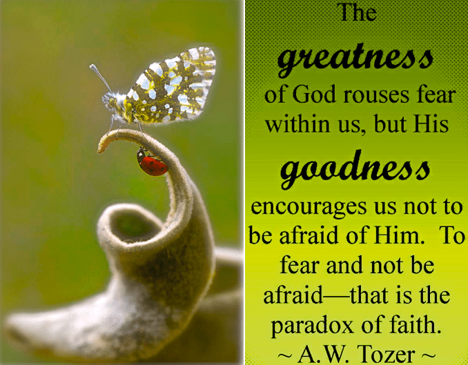 Screen Shot 2018-06-09 at 10.09.09 PM.png