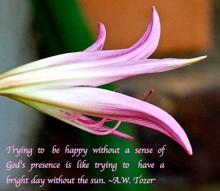 Screen Shot 2018-06-09 at 10.14.40 PM.png