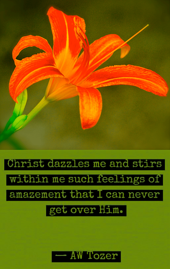 Screen Shot 2018-06-09 at 10.17.03 PM.png