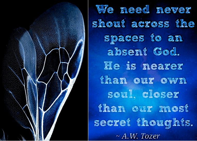 Screen Shot 2018-06-09 at 10.20.34 PM.png