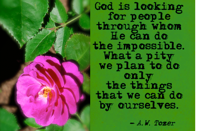 Screen Shot 2018-06-09 at 9.52.13 PM.png