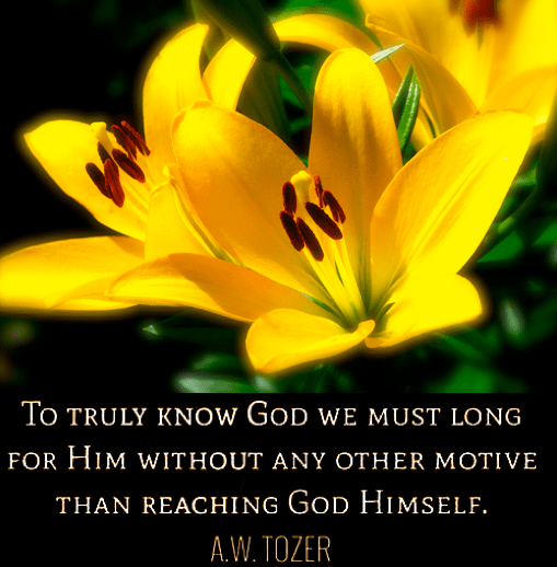 Screen Shot 2018-06-09 at 9.54.51 PM.png