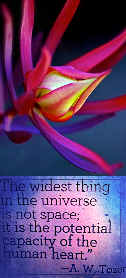 Screen Shot 2018-06-09 at 9.59.17 PM.png