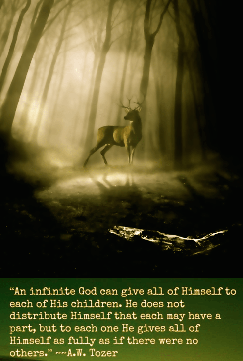 Screen Shot 2018-06-12 at 10.09.12 PM.png