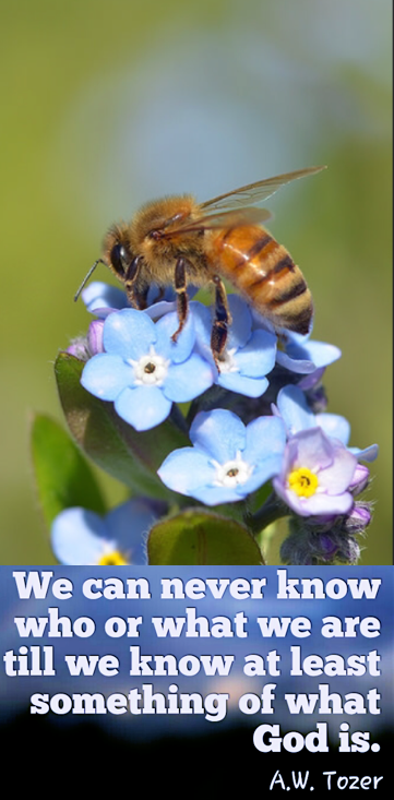 Screen Shot 2018-06-12 at 10.11.54 PM.png