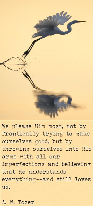 Screen Shot 2018-06-12 at 10.13.49 PM.png