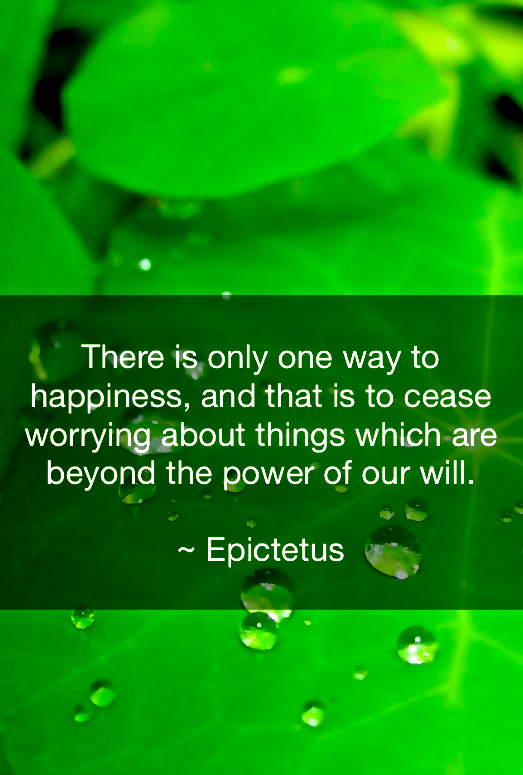 Screen Shot 2018-06-12 at 9.39.00 PM.png