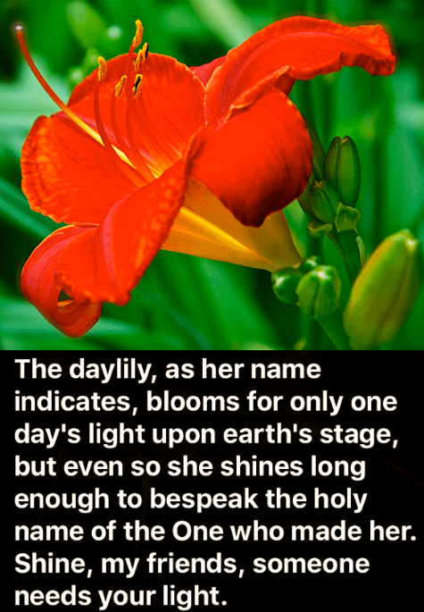 Screen Shot 2018-06-12 at 9.53.14 PM.png