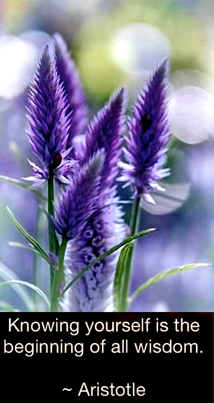 Screen Shot 2018-06-12 at 9.59.25 PM.png