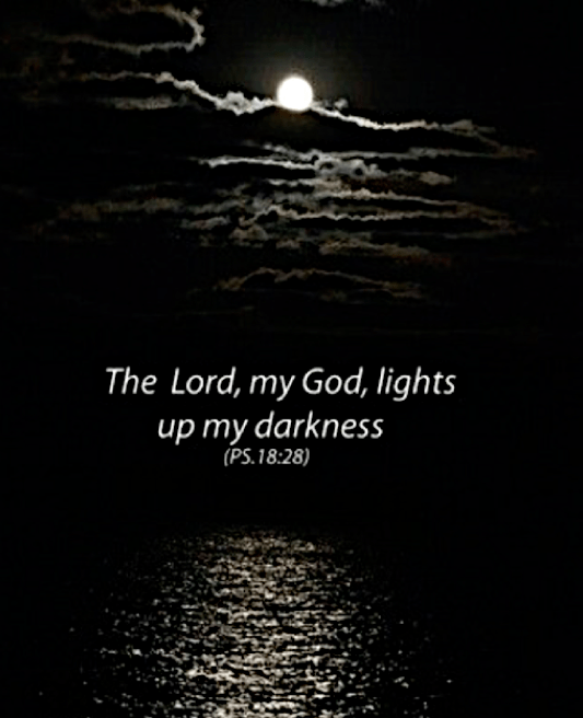 Screen Shot 2018-06-17 at 11.00.16 AM.png