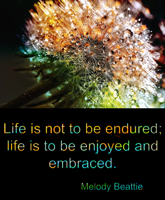 Screen Shot 2018-06-17 at 11.47.29 PM.png