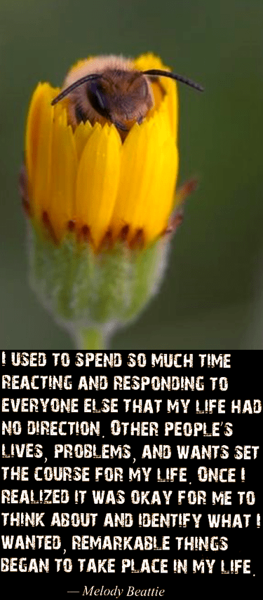 Screen Shot 2018-06-19 at 10.53.23 PM.png