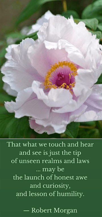 Screen Shot 2018-06-19 at 10.55.07 PM.png