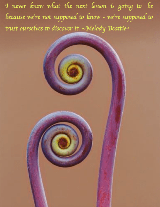 Screen Shot 2018-06-19 at 10.59.35 PM.png