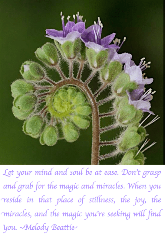 Screen Shot 2018-06-19 at 11.05.41 PM.png