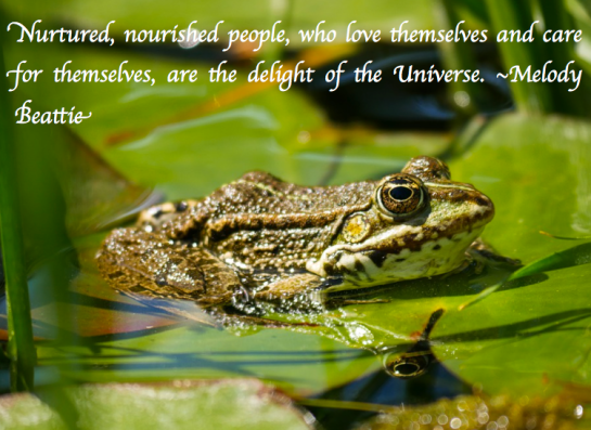 Screen Shot 2018-06-19 at 11.09.13 PM.png