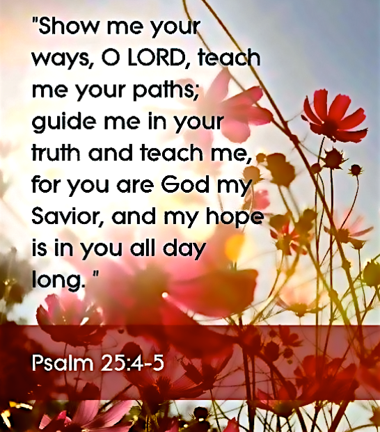 Screen Shot 2018-06-21 at 10.59.36 PM.png