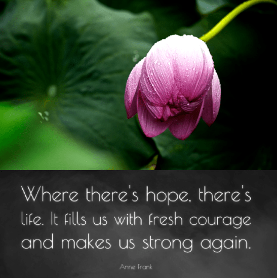 Screen Shot 2018-06-21 at 11.02.30 PM.png