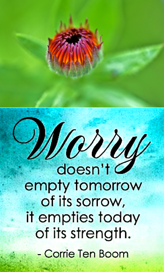 Screen Shot 2018-06-21 at 11.03.40 PM.png