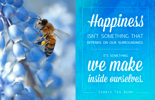 Screen Shot 2018-06-21 at 11.05.02 PM.png