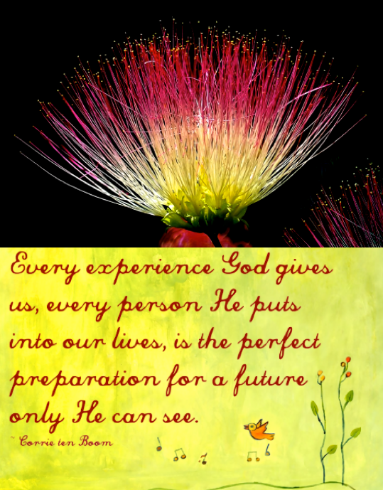 Screen Shot 2018-06-21 at 11.06.17 PM.png