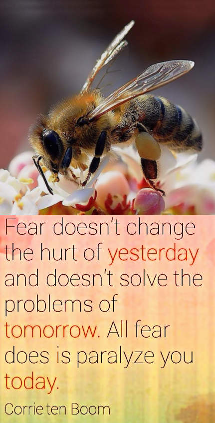 Screen Shot 2018-06-21 at 11.07.54 PM.png