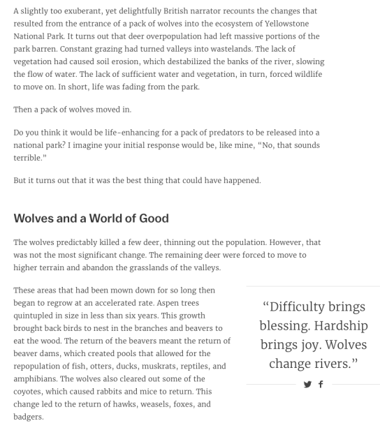 Screen Shot 2018-06-24 at 10.54.52 PM.png