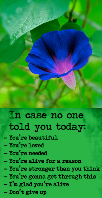 Screen Shot 2018-06-25 at 10.37.40 PM.png