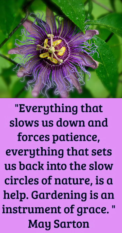 Screen Shot 2018-06-25 at 10.39.06 PM.png