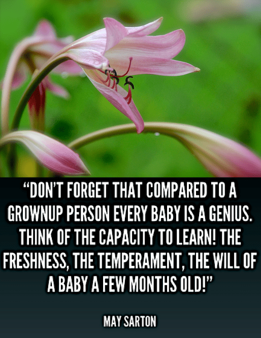 Screen Shot 2018-06-25 at 10.50.37 PM.png