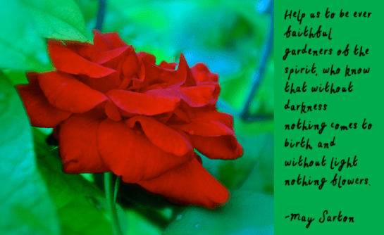 Screen Shot 2018-06-25 at 10.54.01 PM.png