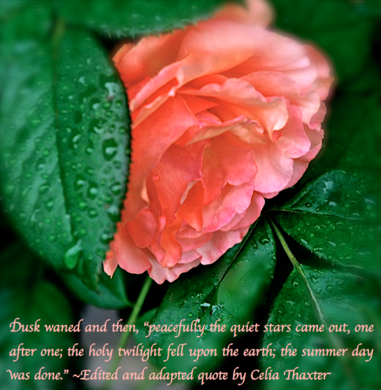 Screen Shot 2018-06-26 at 10.18.43 PM.png